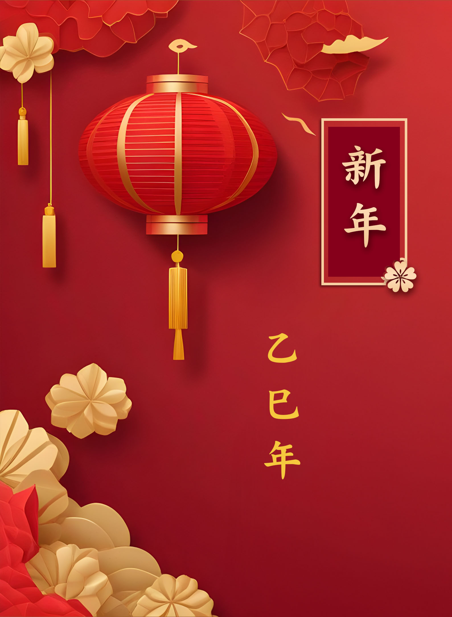 乙巳年 嘉義 菩聖宮新春團拜